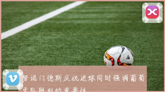 努诺门德斯庆祝进球同时强调葡萄牙队胜利的重要性