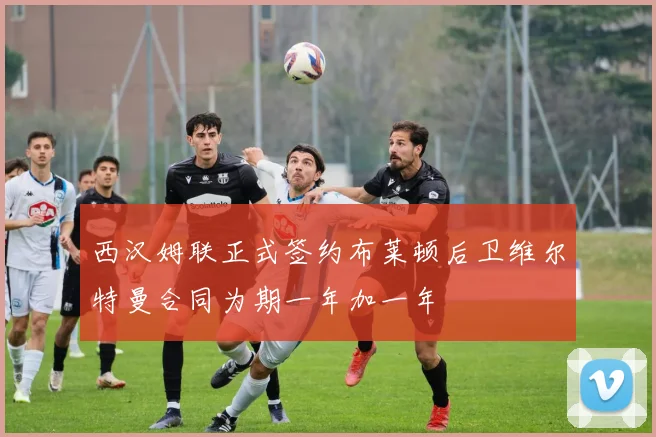 西汉姆联正式签约布莱顿后卫维尔特曼合同为期一年加一年